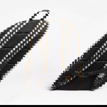 Ruksak Dickies Ashville Bež | DK0A4Y33KHK1, 4