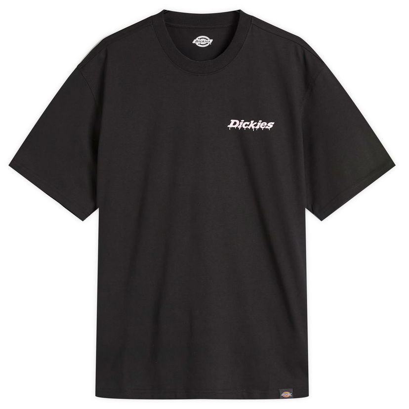 Majica kratkih rukava Dickies Statesville T-Shirt, Size Large Crna | DK0A87QPBLK1