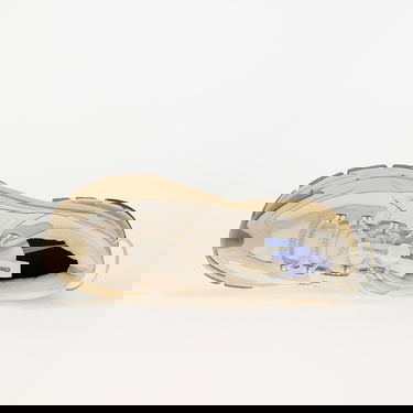 Tenisice i cipele Nike Air Zoom Vomero 5 Roam Bež | FV2295-101, 3