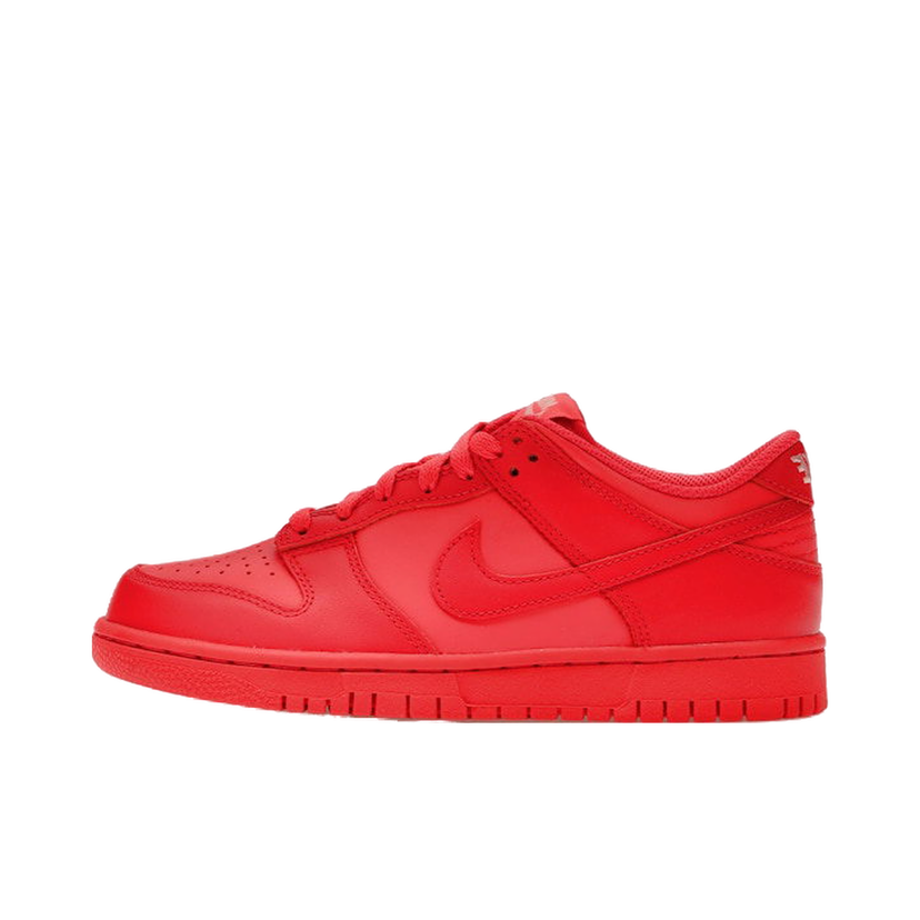Tenisice i cipele Nike Dunk Low Track Crvena | DH9765-601