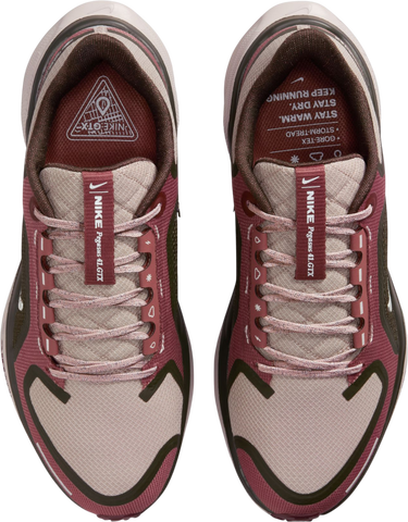 Tenisice i cipele Nike Pegasus 41 GORE-TEX Tamnocrvena | fq1357-200, 2