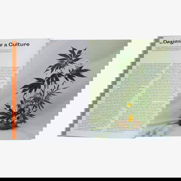 Knjiga i časopis gestalten The New Canabis Culture: High On Design Universal Višebojno | 58807, 1