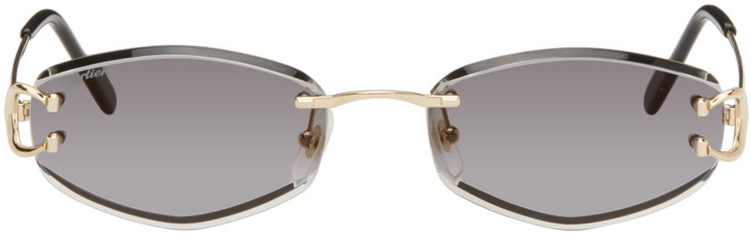 Sunčane naočale Cartier Cartier Oval Sunglasses Siva | CT0467S-001