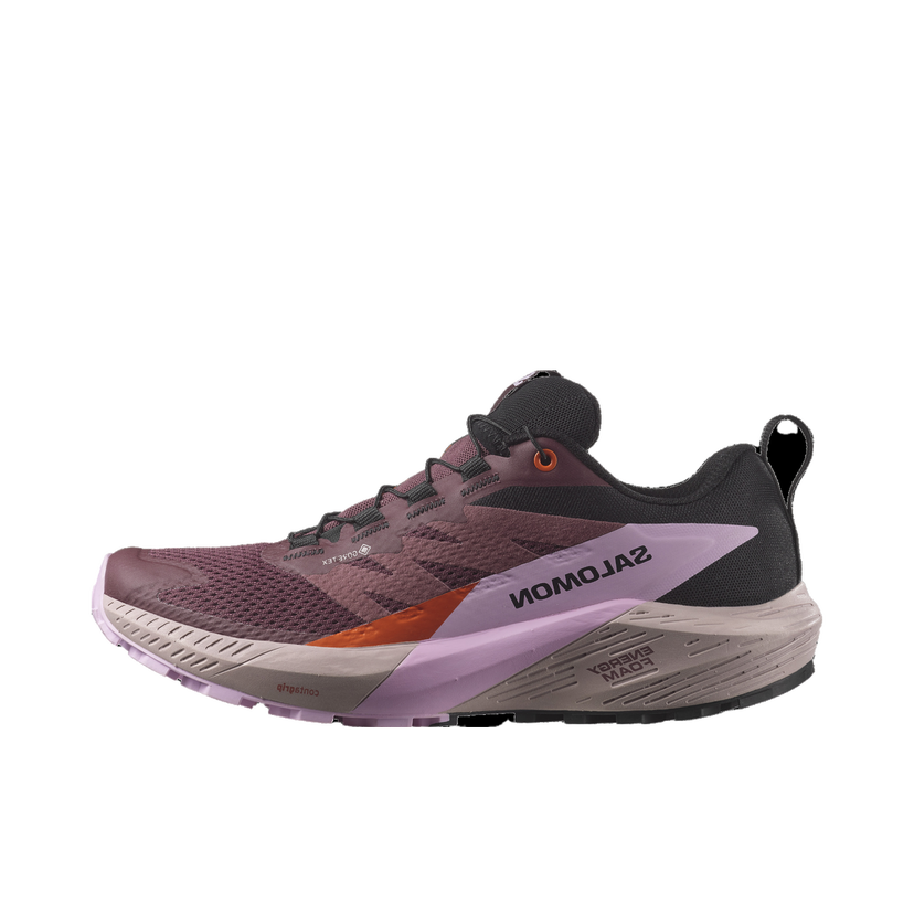 Trčanje Salomon SENSE RIDE 5 GTX W Tamnocrvena | l47592300