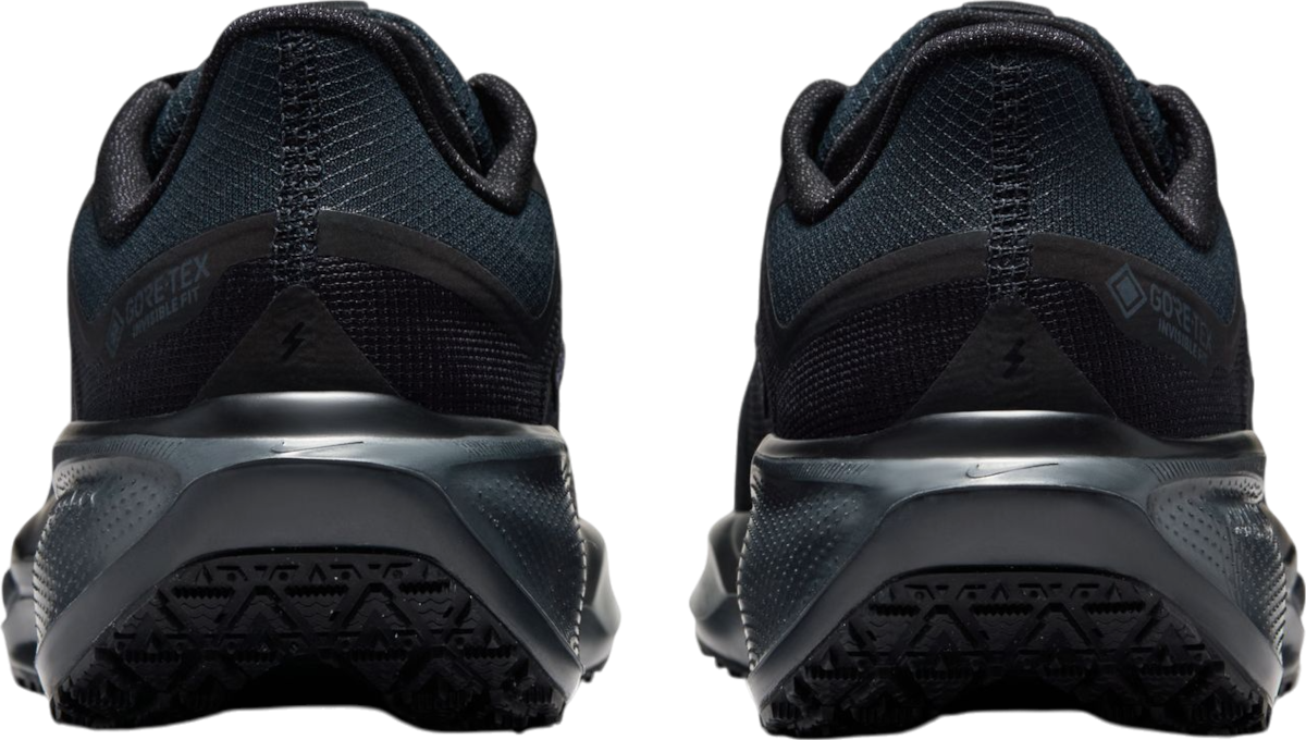 Tenisice i cipele Nike Pegasus 41 GORE-TEX Crna | fq1357-001, 1