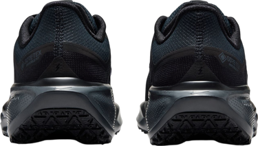 Tenisice i cipele Nike Pegasus 41 GORE-TEX Crna | fq1357-001, 1