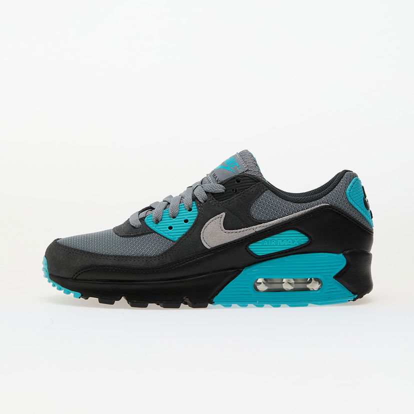 Tenisice i cipele Nike Air Max 90 Crna | DM0029-013