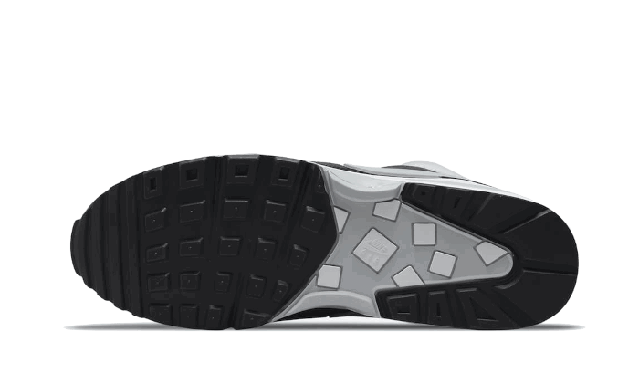 Tenisice i cipele Nike Air Max BW ''Lyon'' Siva | DM6445-001, 1