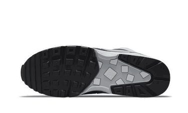 Tenisice i cipele Nike Air Max BW ''Lyon'' Siva | DM6445-001, 1