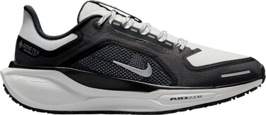 Tenisice i cipele Nike Pegasus 41 GORE-TEX Crna | fq1357-002, 0