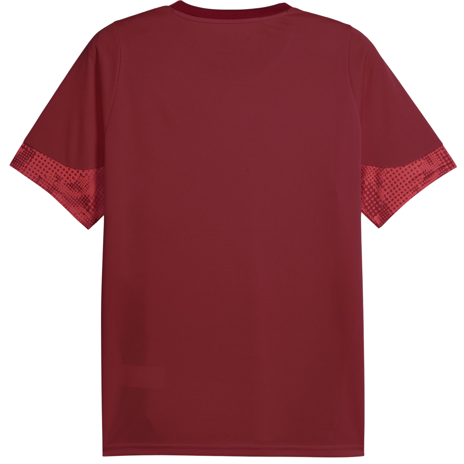 Dres Puma Galatasaray Istanbul Patterned DRYCELL Training Jersey Tamnocrvena | 949105-003, 1