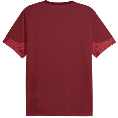 Dres Puma Galatasaray Istanbul Patterned DRYCELL Training Jersey Tamnocrvena | 949105-003, 1