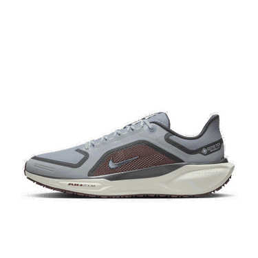 Tenisice i cipele Nike Pegasus 41 GORE-TEX Siva | FQ1356-003, 0