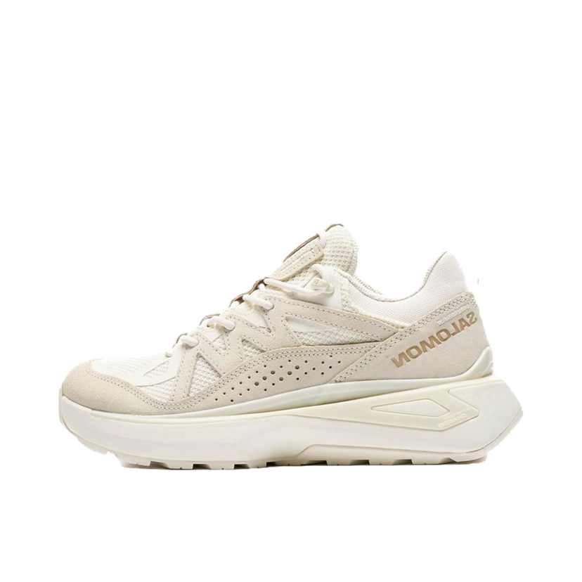 Tenisice i cipele Salomon ODYSSEY ELMT LOW Bež | L47437100