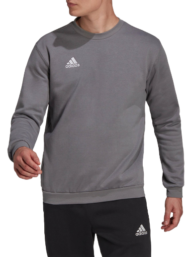 Dukserice adidas Originals Sweatshirt Entrada 22 Siva | h57479
