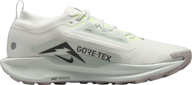 Tenisice i cipele Nike Pegasus Trail 5 GORE-TEX Bijela | fq0908-102, 3