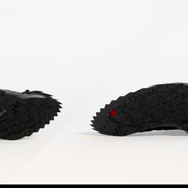 Tenisice i cipele Salomon X-Alp Mid Ltr GTX Crna | L47638700, 1