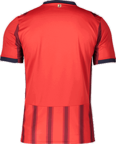 Dres Puma Puma 1. FC Heidenheim Home Jersey 2025/26 Crvena | 6fch785889-01, 1