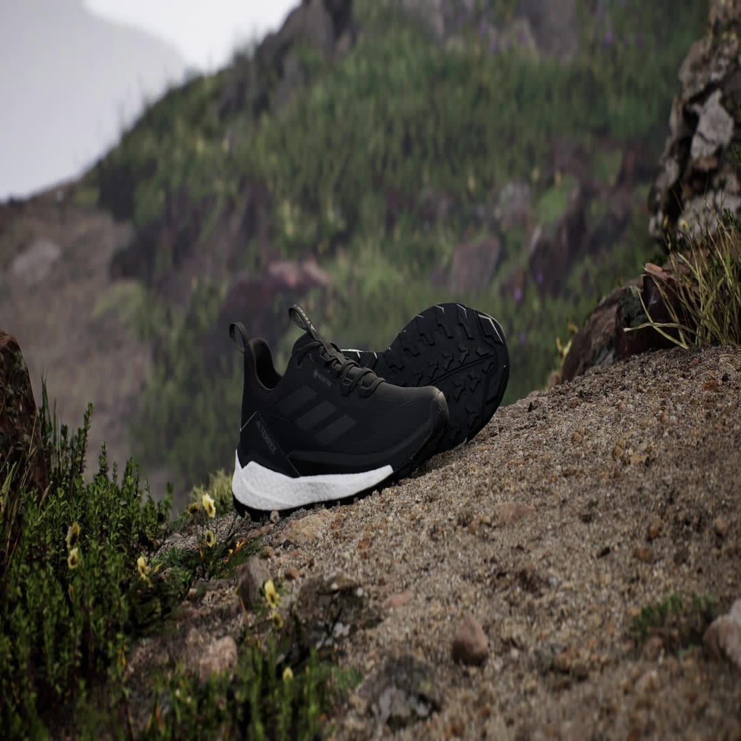 Tenisice i cipele adidas Performance Terrex Free Hiker 2.0 Low Gore-Tex Crna | IH0671, 1