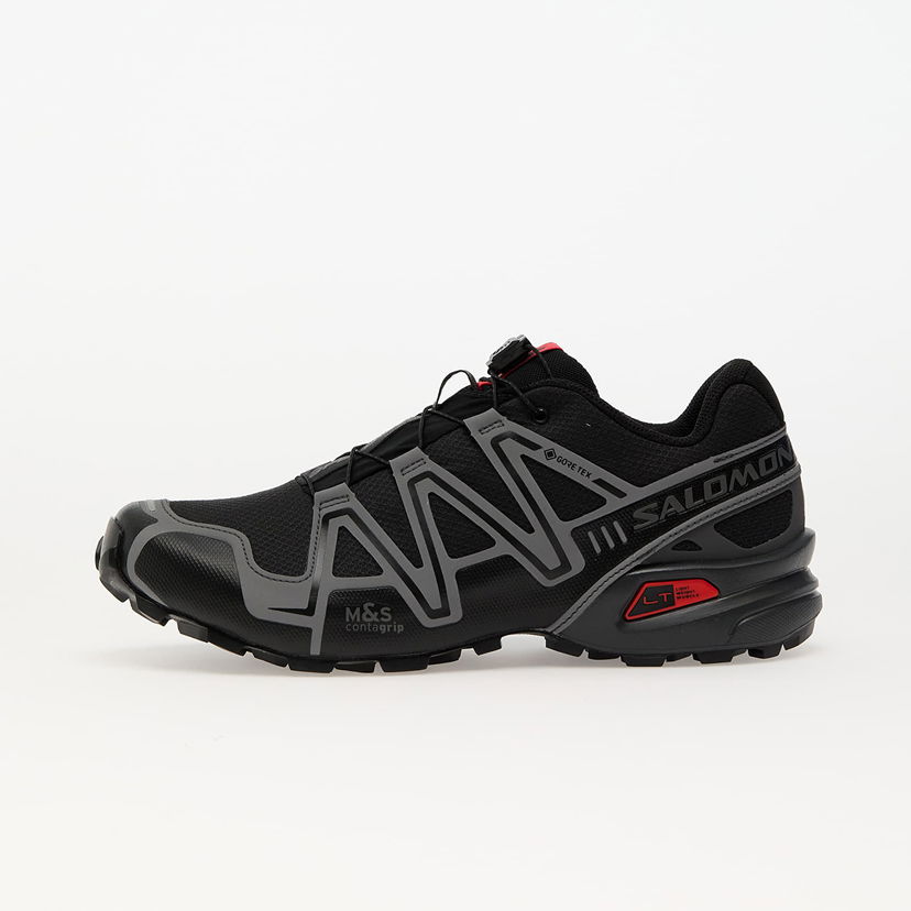 Tenisice i cipele Salomon SPEEDCROSS 3 GTX Crna | L47731700