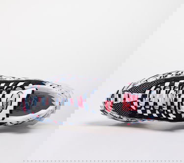 Tenisice i cipele Nike Air Max 95 Country - Korea Višebojno | CW2359-100, 2