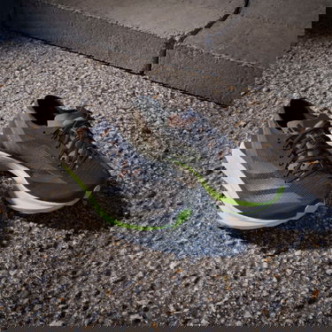 Tenisice i cipele adidas Performance adidas ADIZERO TAKUMI SEN 10 W Crna | if1210, 7