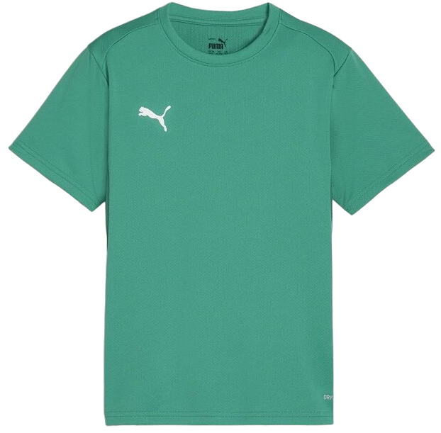 Majica kratkih rukava Puma teamGOAL T-Shirt Zelena | 658636-05