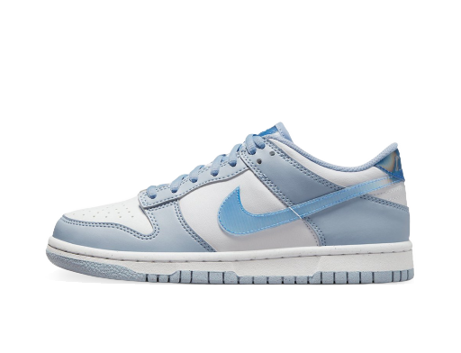 Tenisice i cipele Nike Dunk Low Next Nature Blue Iridescent (GS) Plava | FJ4668-400