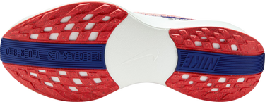 Tenisice i cipele Nike Pegasus Plus Crvena | fq7261-602, 4