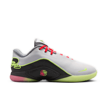 Tenisice i cipele Nike LeBron 22 Moonlight Bijela | FZ1094-101, 2