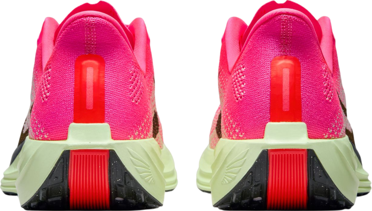 Tenisice i cipele Nike Pegasus Plus Ružičasta | hv3022-600, 1