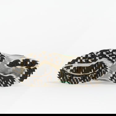 Tenisice i cipele Mizuno Wave Rider 10 Siva | D1GA247107, 1