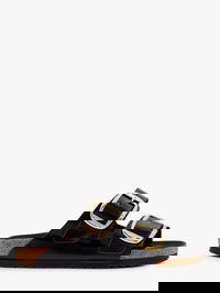 Arizona Big Buckle Slides
