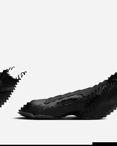 Tenisice i cipele Nike Air Flightposite Crna | FV5582-001, 3