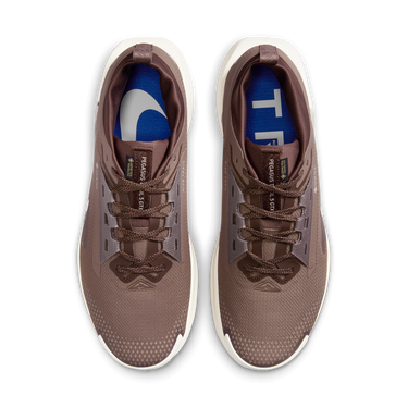 Tenisice i cipele Nike Pegasus Trail 5 GORE-TEX SP Smeđa | HQ7494-200, 1
