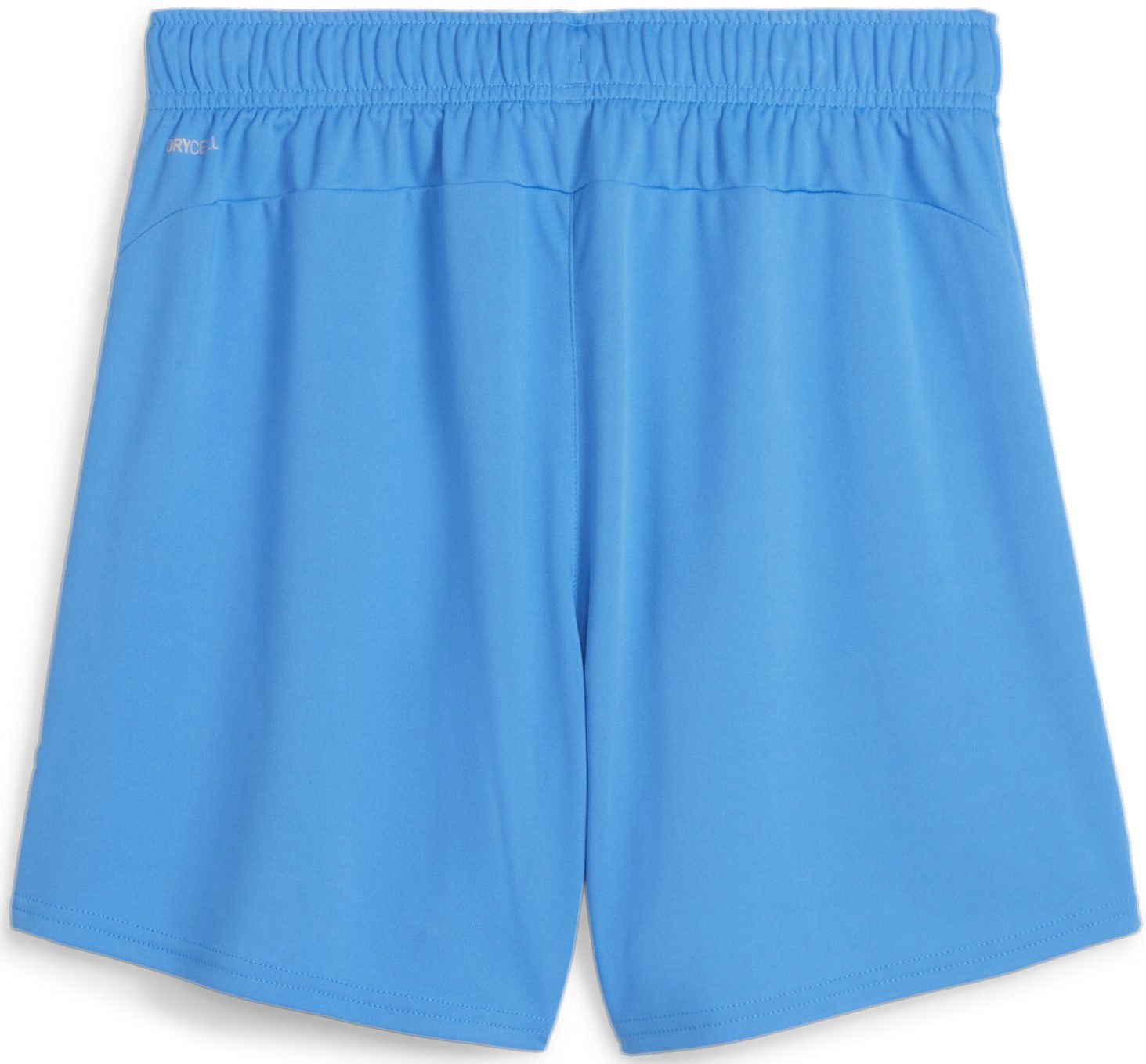 Kratke hlače Puma teamGOAL Shorts Wmns Plava | 705754-02, 1