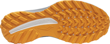 Tenisice i cipele Saucony Saucony RIDE TR2 Višebojno | s20951-245, 4