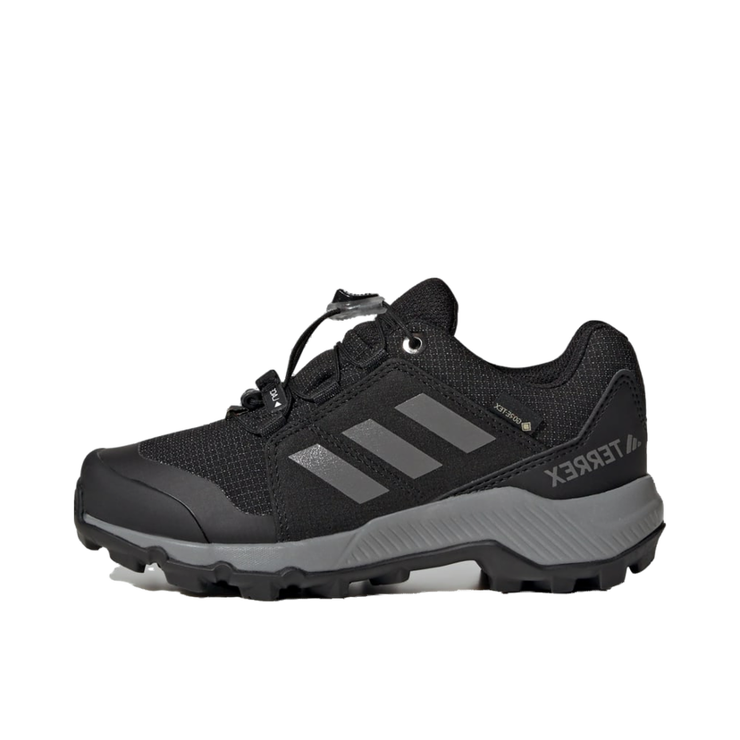 Tenisice i cipele adidas Performance Terrex GORE-TEX Hiking Shoes Crna | IH5511