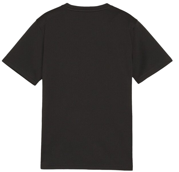 Majica kratkih rukava Puma teamGOAL T-Shirt Crna | 658636-03, 1