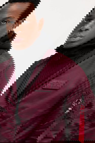 Bomber jakna Alpha Industries Winter Bomber Jacket Tamnocrvena | 183110.608, 4