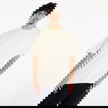 Majica kratkih rukava Nike ACG ACG Max90 T-Shirt Bež | HJ0798-229, 0