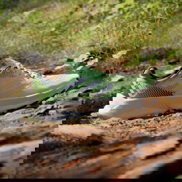 Tenisice i cipele adidas Performance adidas TERREX Boty TERREX Soulstride Flow Trail Running Zelena | IG8026, 3