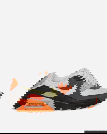 Tenisice i cipele Nike Air Max 90 Višebojno | DM0029-018, 0
