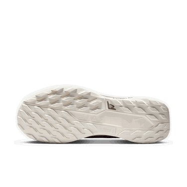 Tenisice i cipele Nike Pegasus Trail 5 GORE-TEX SP Smeđa | HQ7494-200, 3