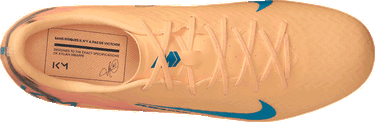 Tenisice i cipele Nike Zoom Mercurial Vapor 16 Academy Kylian Mbappé FG/MG Višebojno | fq8377-801, 9