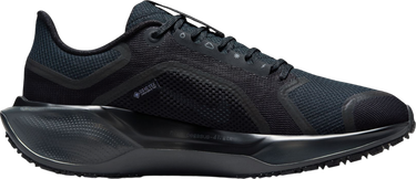 Tenisice i cipele Nike Pegasus 41 GORE-TEX Crna | fq1357-001, 3