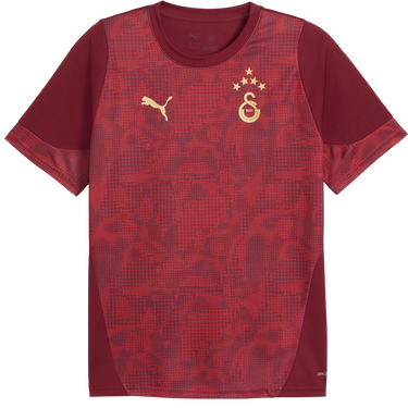 Dres Puma Galatasaray Istanbul Patterned DRYCELL Training Jersey Tamnocrvena | 949105-003, 0
