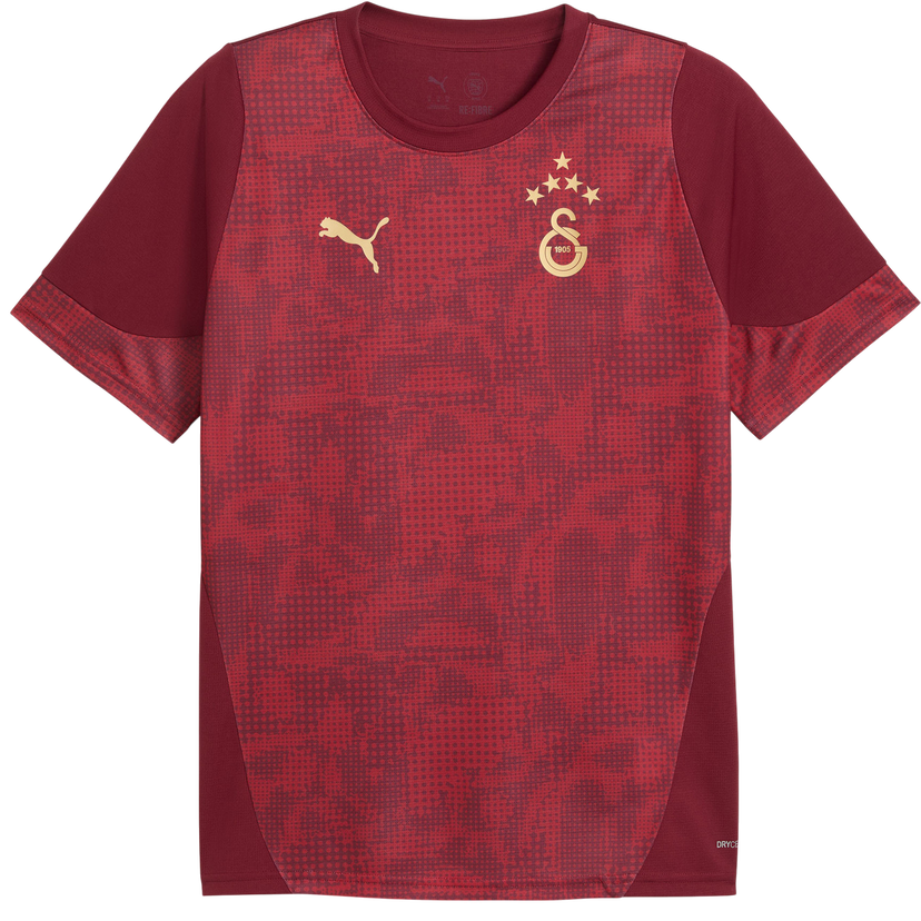 Dres Puma Galatasaray Istanbul Patterned DRYCELL Training Jersey Tamnocrvena | 949105-003