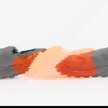 Tenisice i cipele adidas Performance Terrex Winter Slip-On Cold.Rdy Narančasta | IG4264, 0