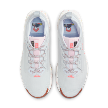 Tenisice i cipele Nike Pegasus Trail 5 GORE-TEX Bijela | FQ0912-007, 1